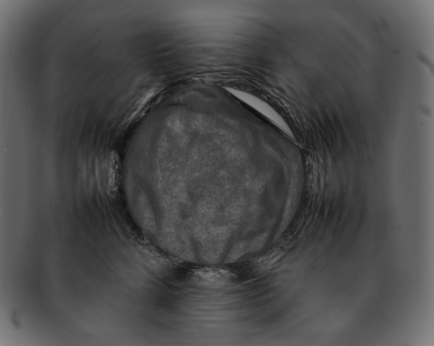 X0000092060712200710101034