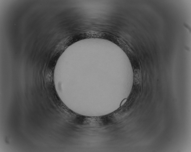 X0000092060713200710101034