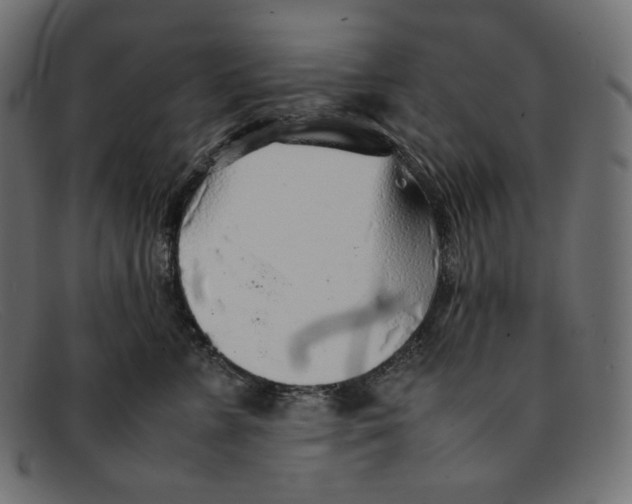 X0000092060715200710101034