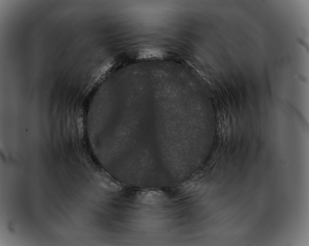 X0000092060716200710101034