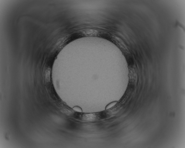 X0000092060717200710101034