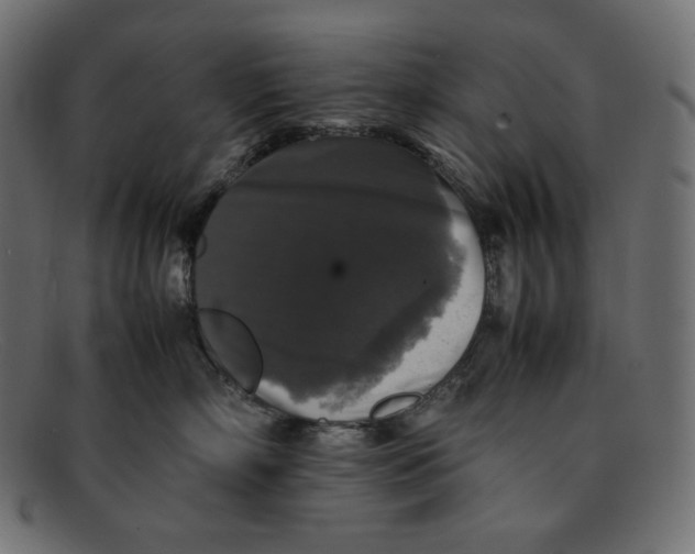 X0000092060718200710101034