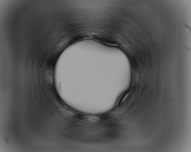 X0000092060719200710101034