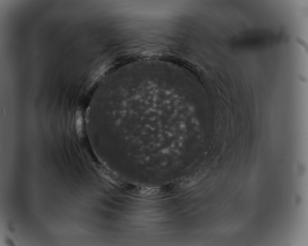 X0000092060720200710101034