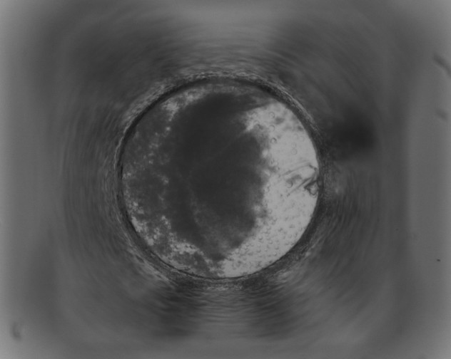 X0000092060721200710101033