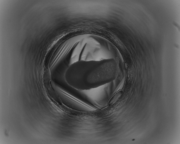 X0000092060722200710101033