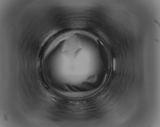 X0000092060723200710101033