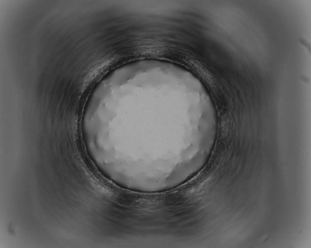 X0000092060725200710101033