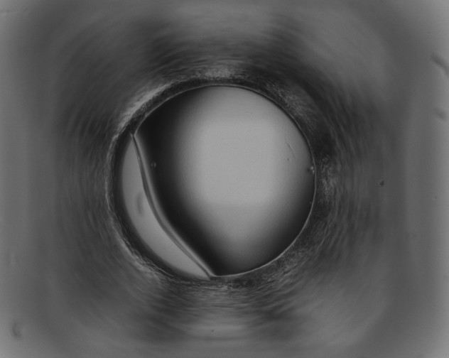 X0000092060728200710101033