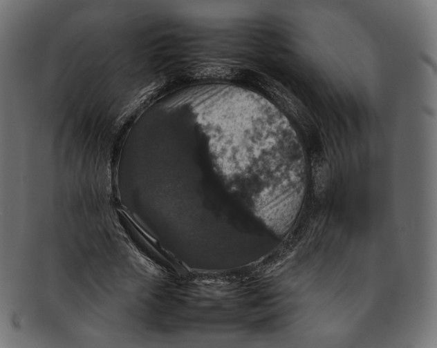 X0000092060729200710101033