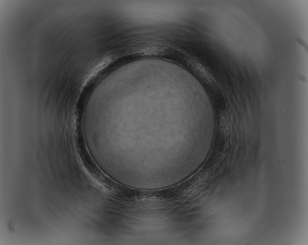 X0000092060730200710101033