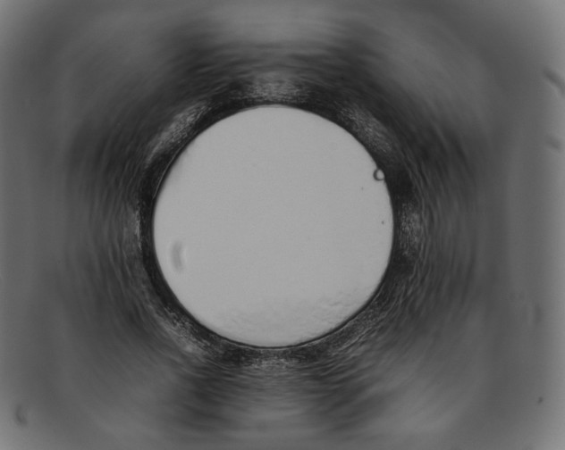 X0000092060734200710101033