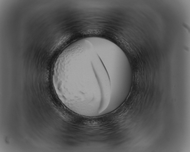 X0000092060735200710101033