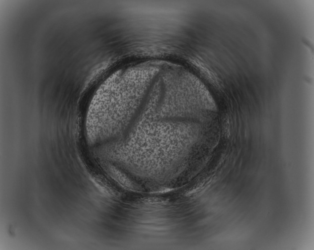 X0000092060736200710101033