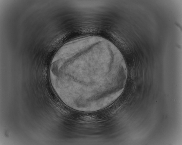 X0000092060737200710101033