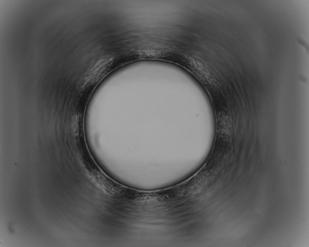 X0000092060738200710101033