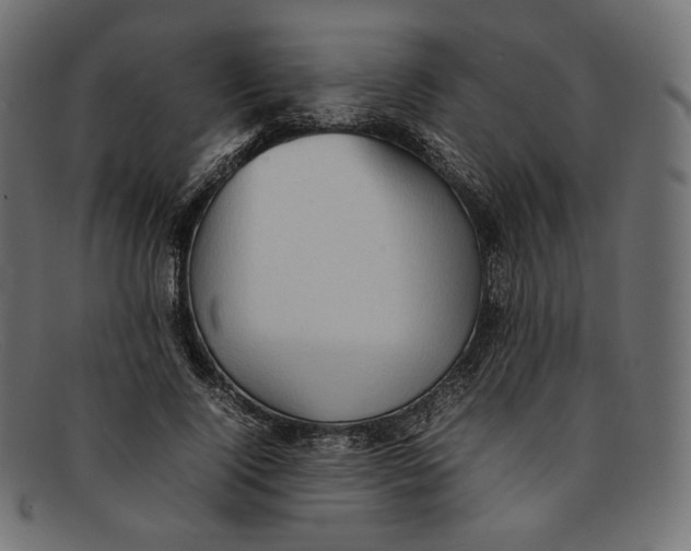 X0000092060740200710101033