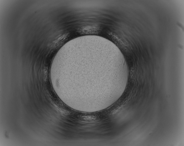 X0000092060741200710101033