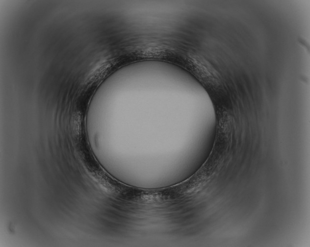 X0000092060744200710101033