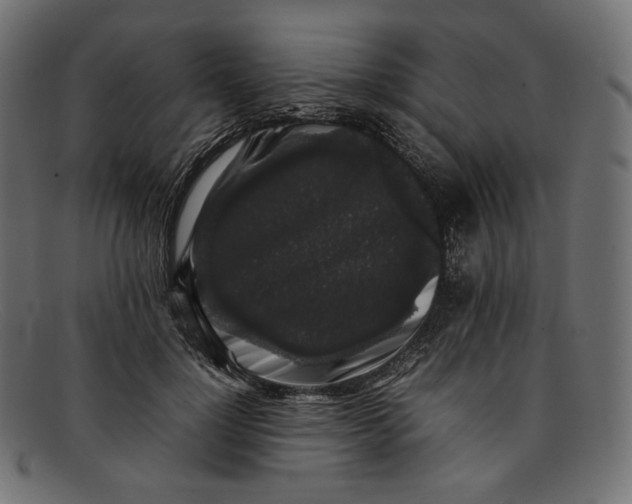 X0000092060748200710101033