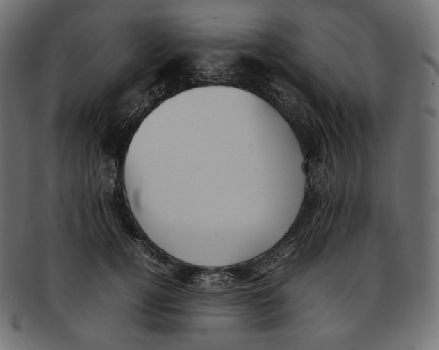 X0000092060752200710101033