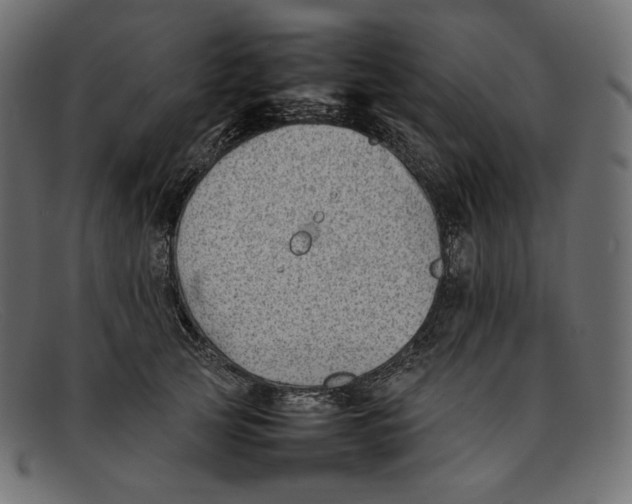 X0000092060753200710101033