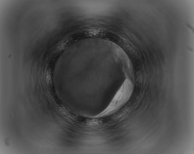 X0000092060754200710101033