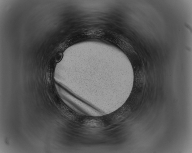 X0000092060755200710101033