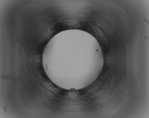 X0000092060756200710101033