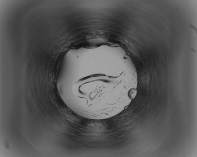 X0000092060759200710101033