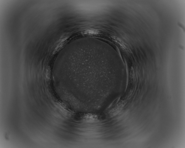 X0000092060760200710101034