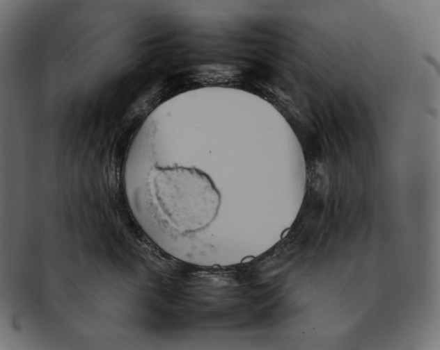 X0000092060763200710101034