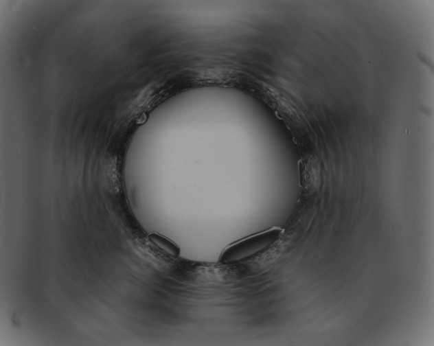 X0000092060764200710101034