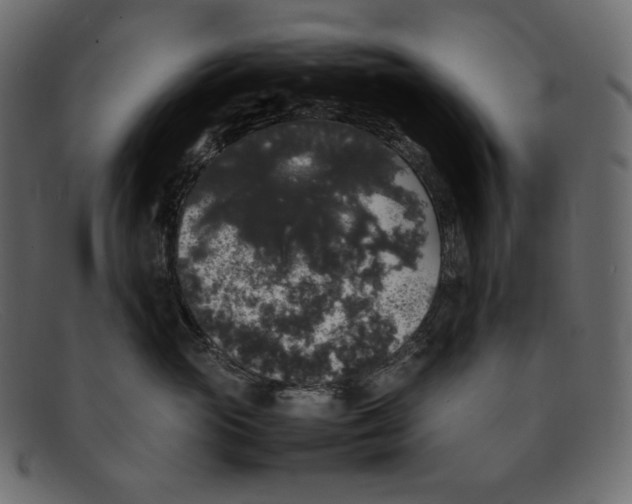 X0000092060765200710101034