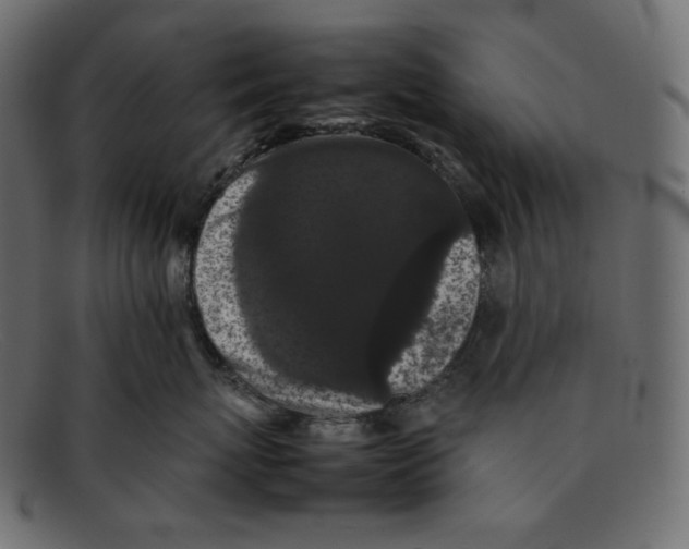 X0000092060767200710101034