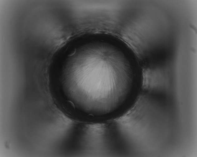 X0000092060770200710101033