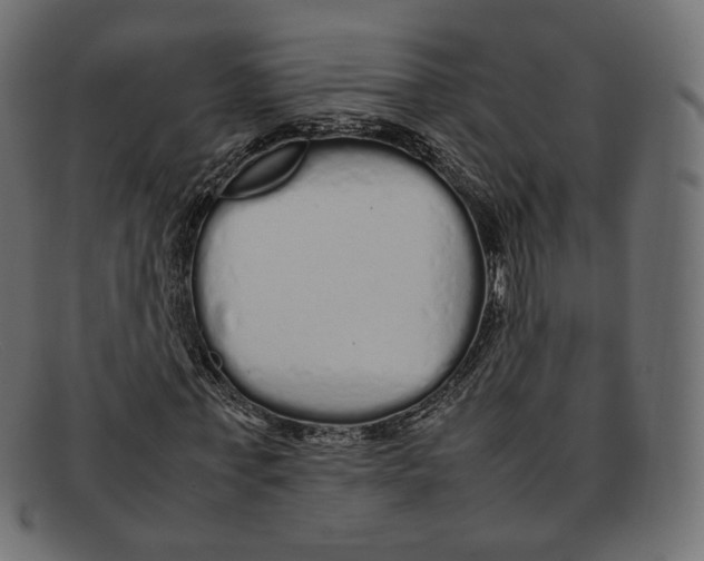 X0000092060771200710101033