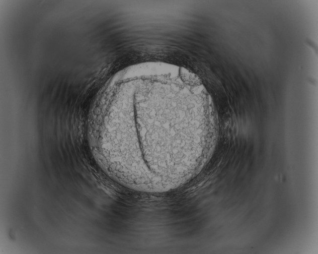 X0000092060772200710101033