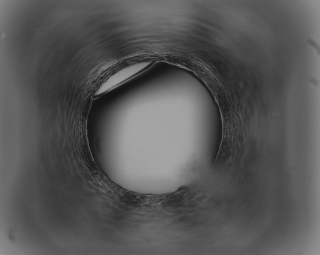 X0000092060773200710101033