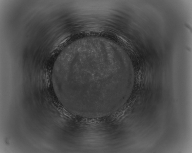 X0000092060774200710101033