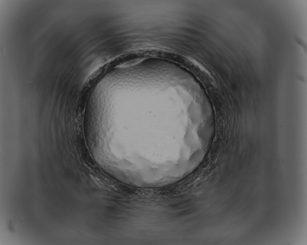 X0000092060775200710101033