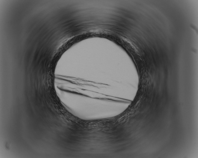 X0000092060776200710101033