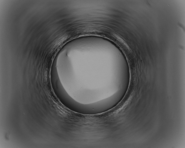 X0000092060777200710101033