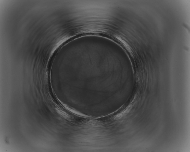 X0000092060779200710101033