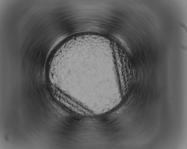 X0000092060780200710101033