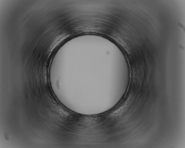 X0000092060782200710101033