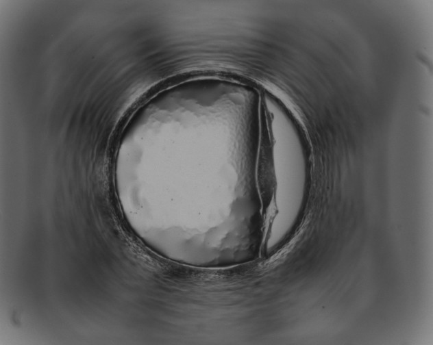 X0000092060783200710101033