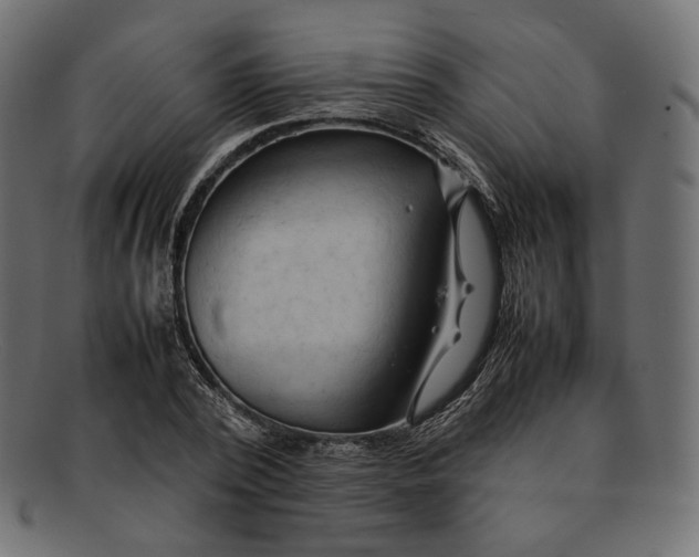 X0000092060784200710101033