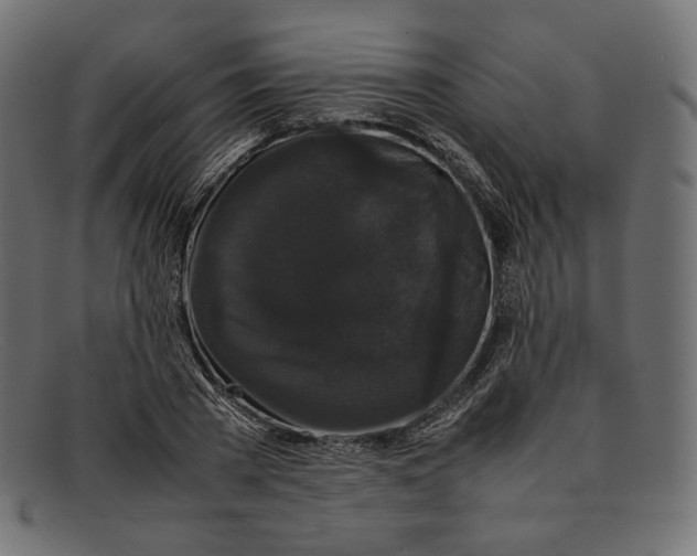 X0000092060785200710101033