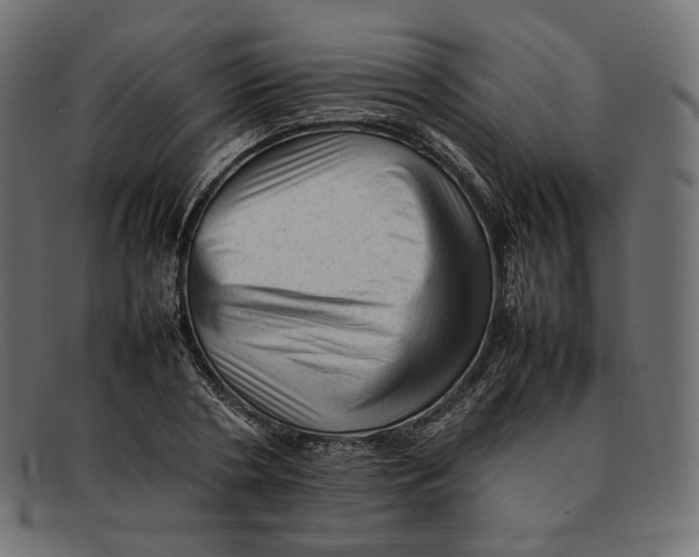 X0000092060786200710101033